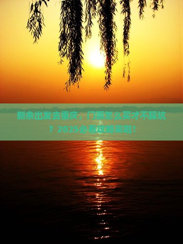 新余去重庆门票