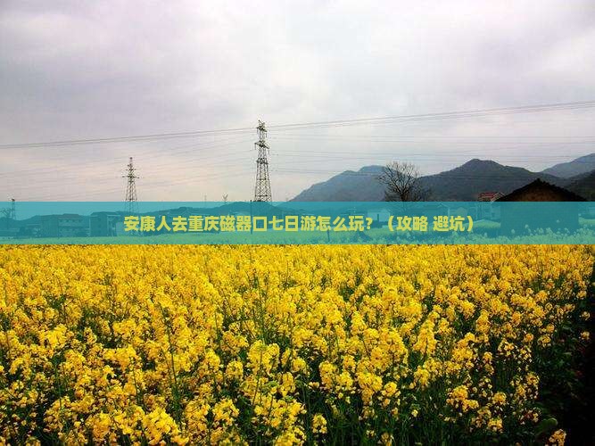 安康去重庆磁器口七日游