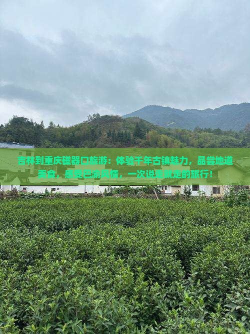 吉林到重庆磁器口旅游
