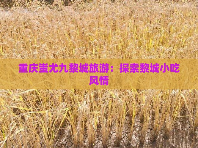 天水去重庆蚩尤九黎城旅游小吃