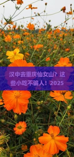 汉中去重庆仙女山旅游小吃