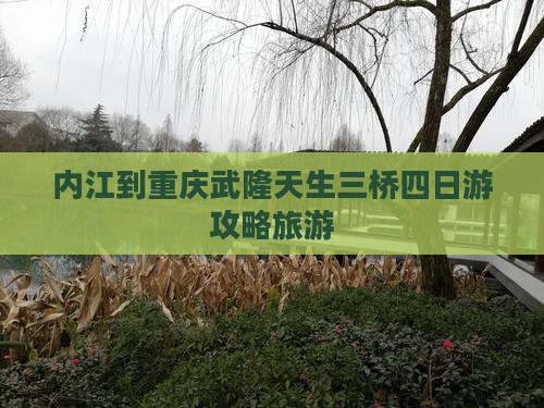 内江到重庆武隆天生三桥四日游