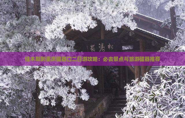 佳木斯到重庆磁器口二日游