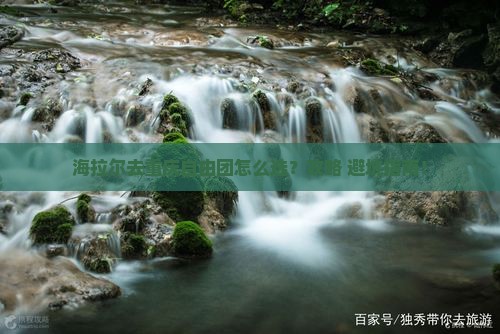 海拉尔去重庆自由团