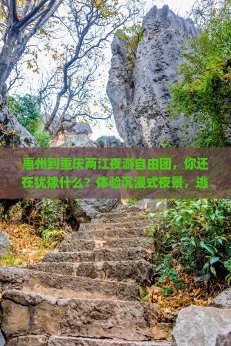 惠州到重庆两江夜游自由团