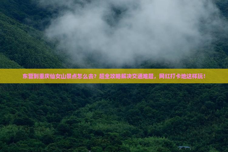 东营到重庆仙女山景点