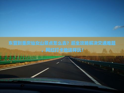 东营到重庆仙女山景点