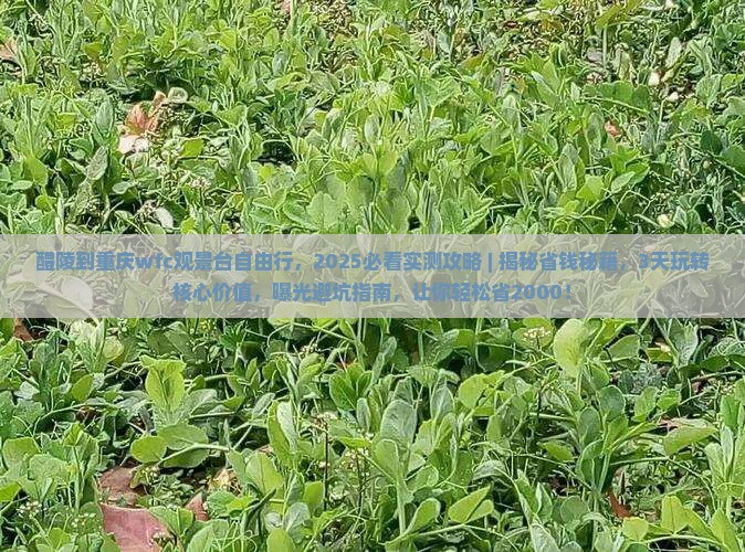 醴陵到重庆wfc观景台自由行