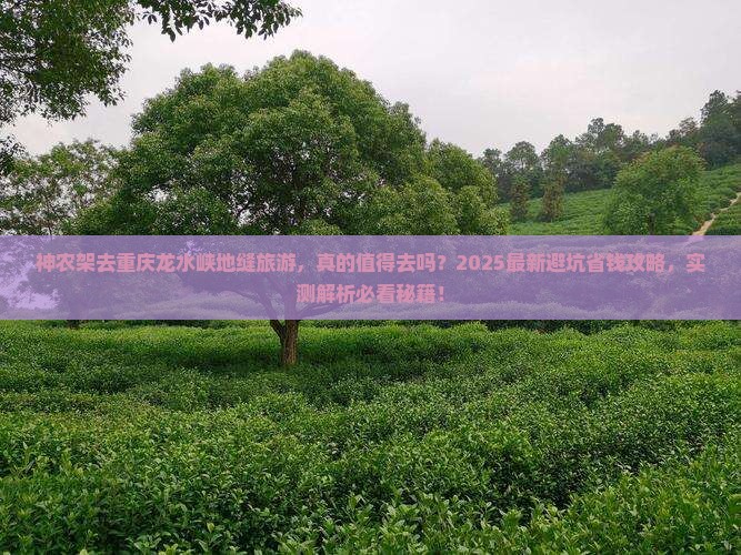 神农架去重庆龙水峡地缝旅游
