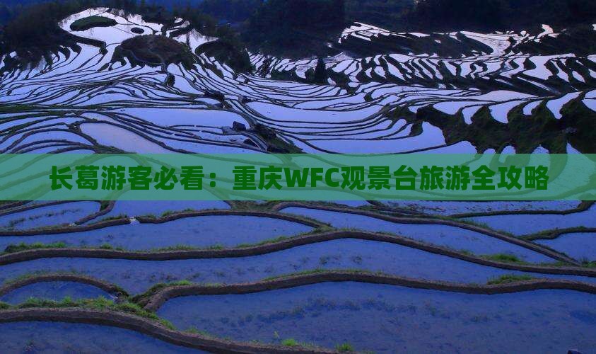 长葛去重庆wfc观景台哪里玩