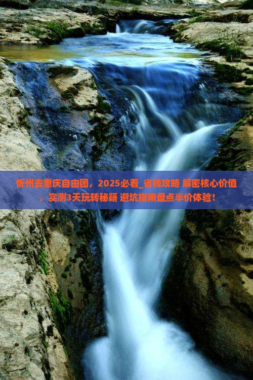 忻州去重庆自由团