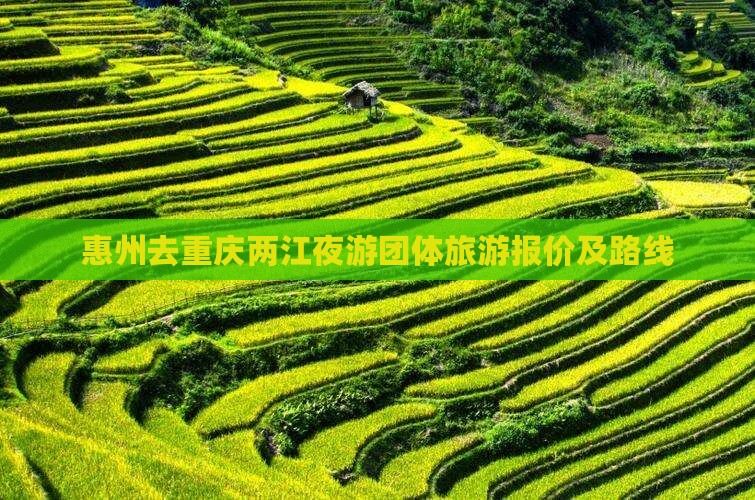 惠州去重庆两江夜游团体旅游