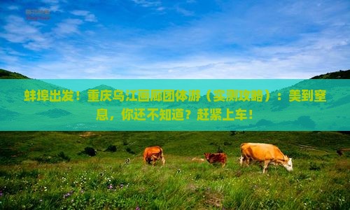 蚌埠去重庆乌江画廊团体旅游