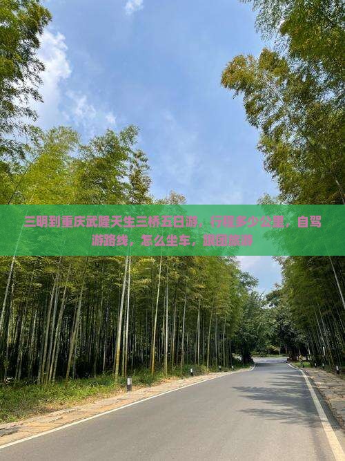 三明到重庆武隆天生三桥五日游
