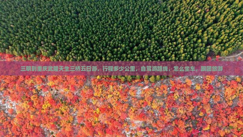 三明到重庆武隆天生三桥五日游