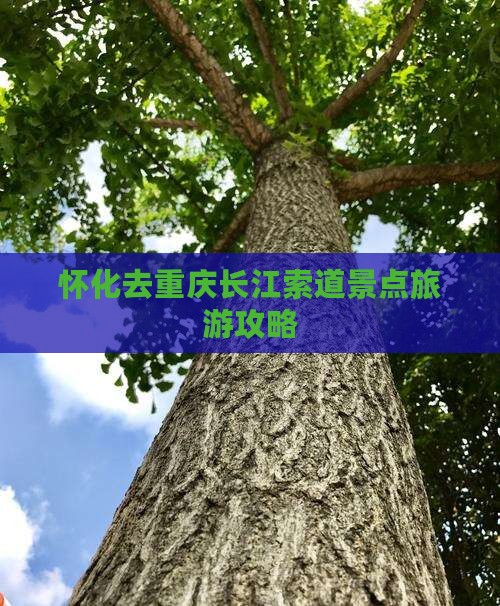 怀化去重庆长江索道景点