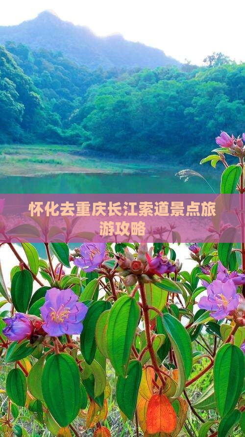 怀化去重庆长江索道景点