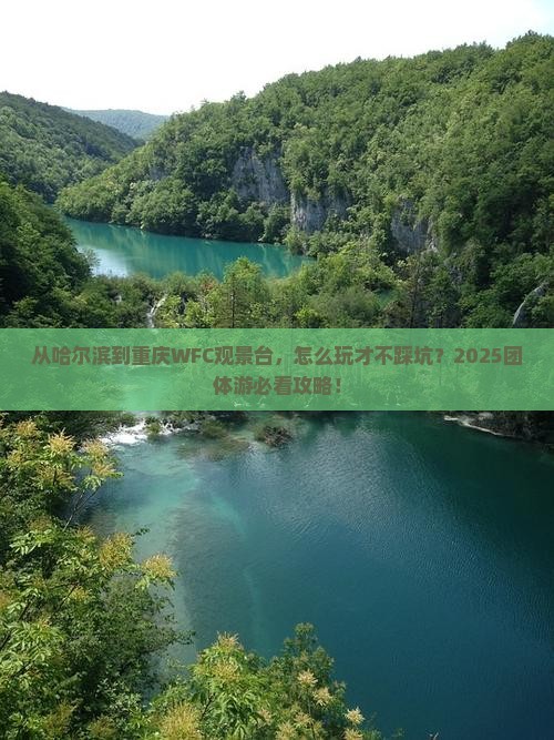 哈尔滨去重庆wfc观景台团体旅游