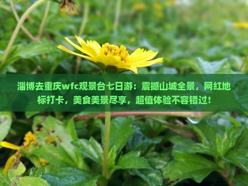 淄博去重庆wfc观景台七日游
