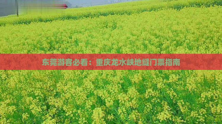 东莞去重庆龙水峡地缝门票