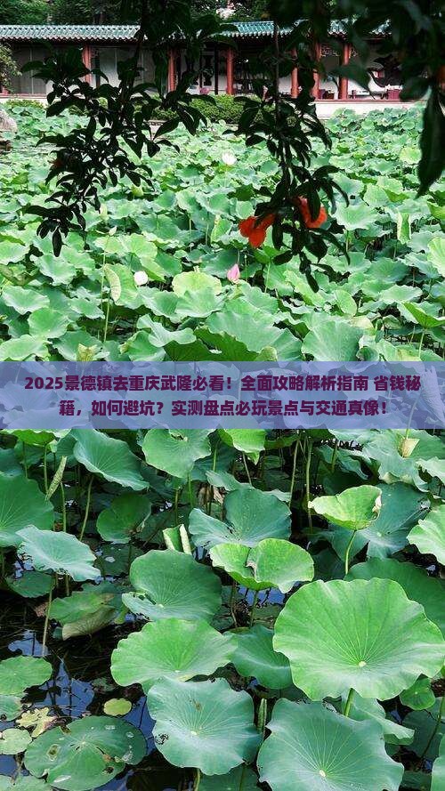 景德镇去重庆武隆攻略