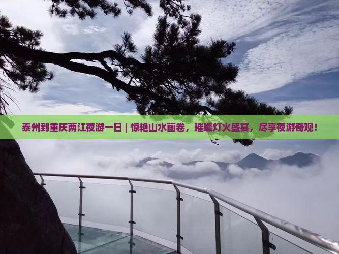 泰州到重庆两江夜游一日