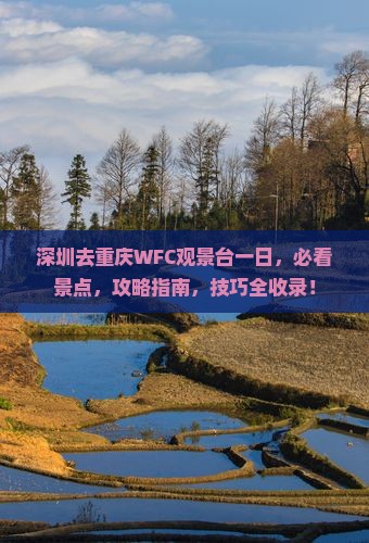 深圳去重庆wfc观景台一日