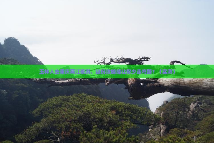 玉林去重庆两江夜游团体旅游