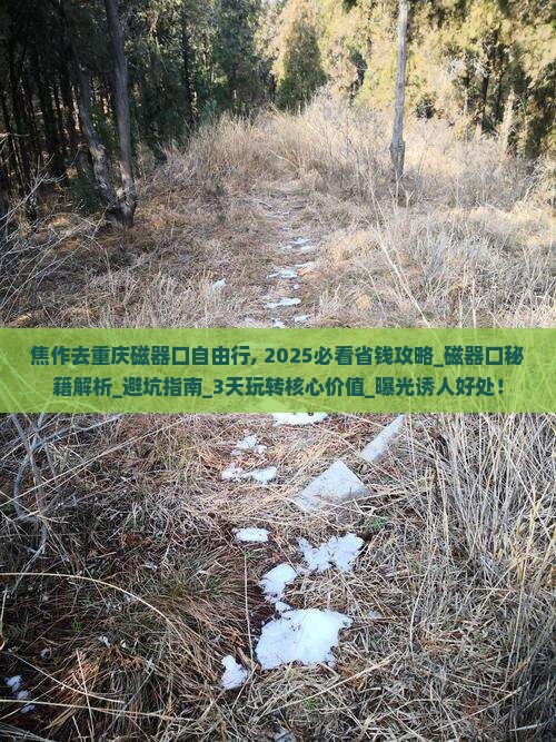 焦作去重庆磁器口自由行