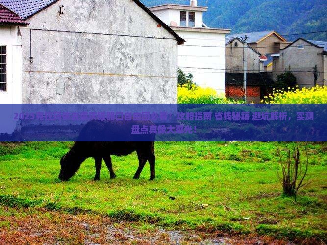 克拉玛依去重庆磁器口自由团