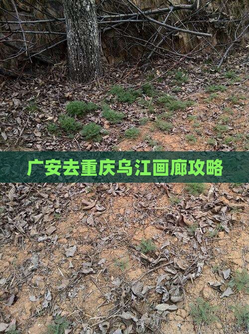 广安去重庆乌江画廊攻略