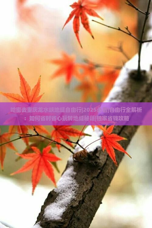 哈密去重庆龙水峡地缝自由行