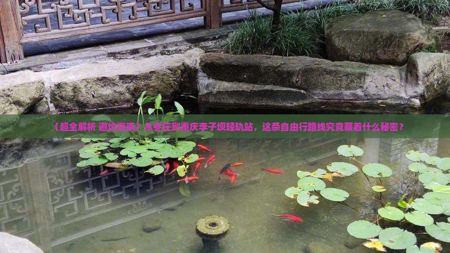 枣庄到重庆李子坝轻轨站自由行 枣庄到重庆李子坝轻轨站自由行