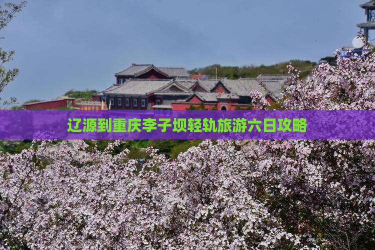 辽源去重庆李子坝轻轨站六日游