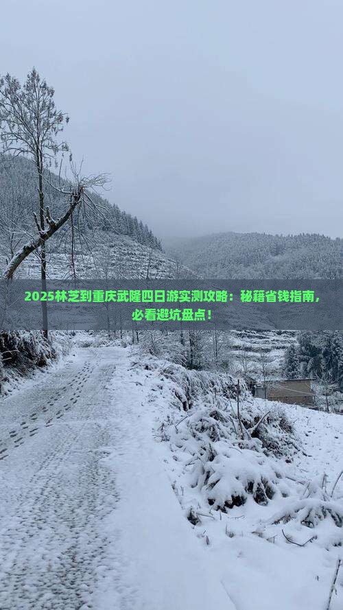 林芝到重庆武隆四日游