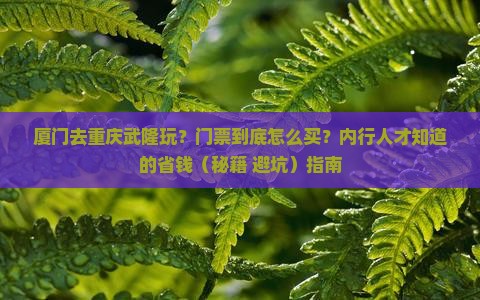 厦门到重庆武隆门票