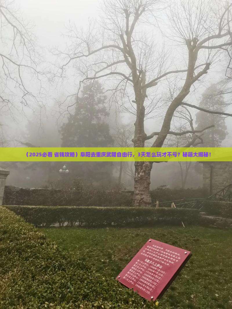阜阳去重庆武隆自由行