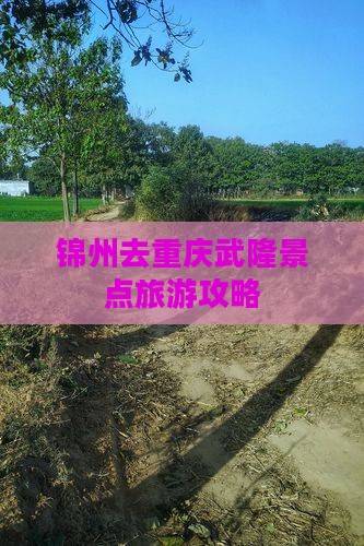 锦州去重庆武隆景点 锦州去重庆武隆景点