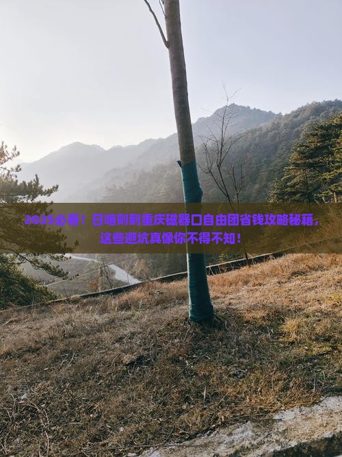 日喀则到重庆磁器口自由团 日喀则到重庆磁器口自由团