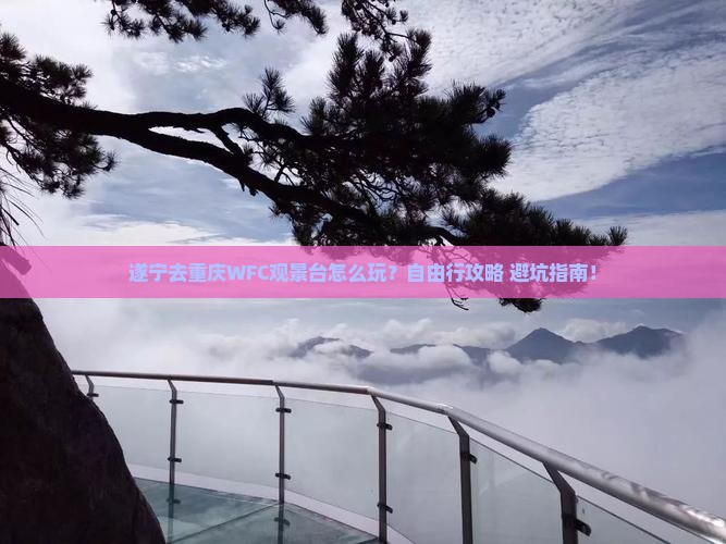 遂宁去重庆wfc观景台自由行