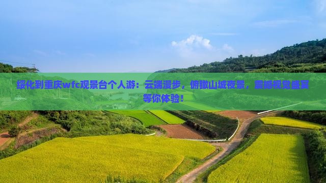 绥化到重庆wfc观景台个人游