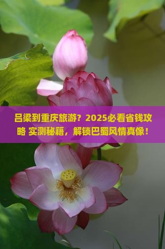 吕梁到重庆旅游