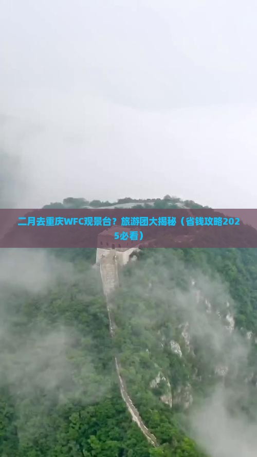 二月去重庆wfc观景台大型旅游团