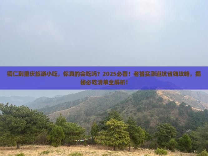 铜仁到重庆旅游小吃