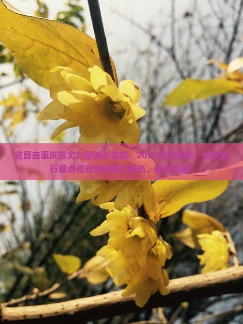 宜昌去重庆蚩尤九黎城必去地