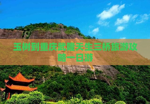 玉树到重庆武隆天生三桥一日