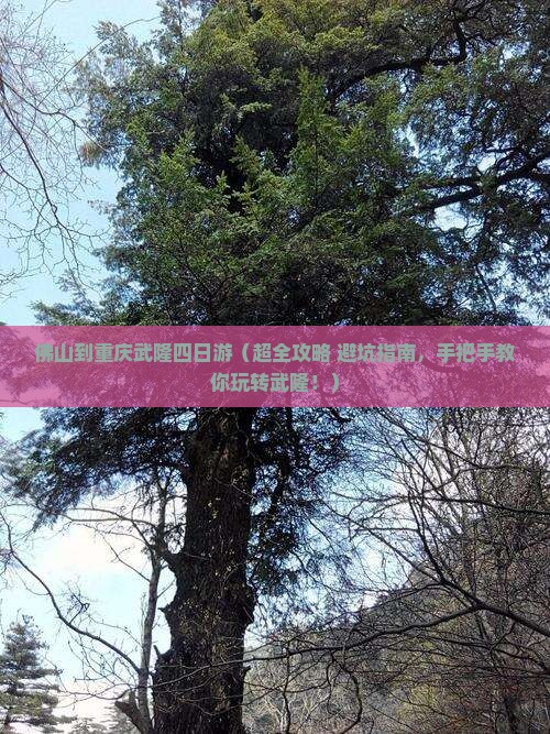 佛山到重庆武隆四日游