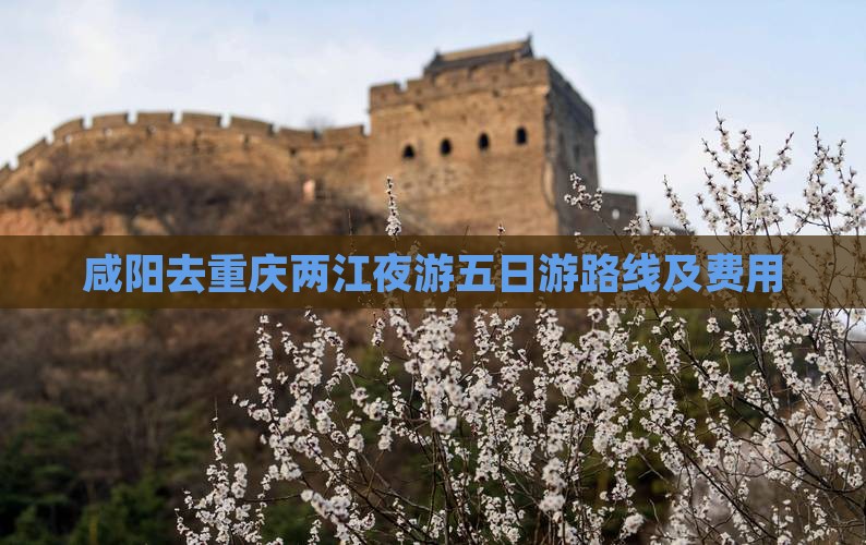 咸阳去重庆两江夜游五日游