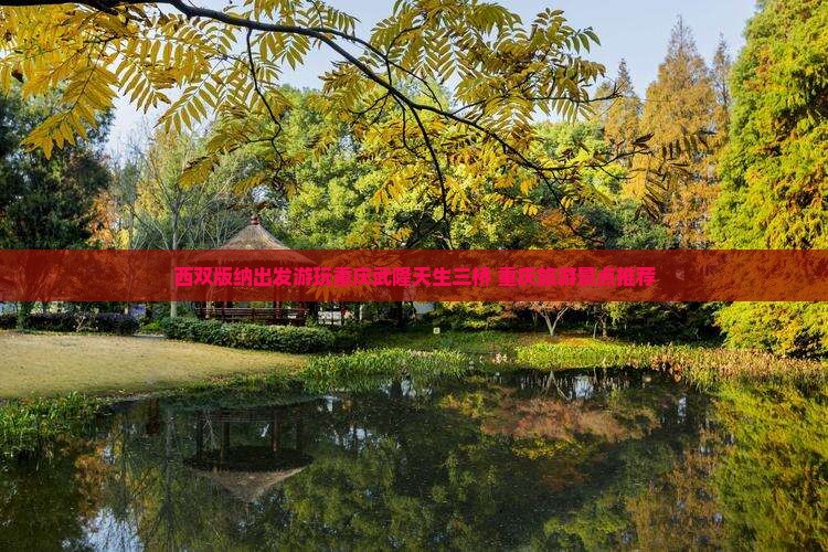 西双版纳到重庆武隆天生三桥景点