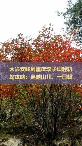 大兴安岭到重庆李子坝轻轨站攻略